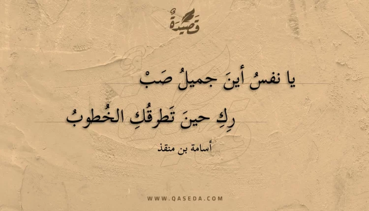 قصيدة يا نفس أين جميل صبرك