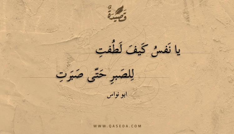 قصيدة يا نفس كيف لطفت