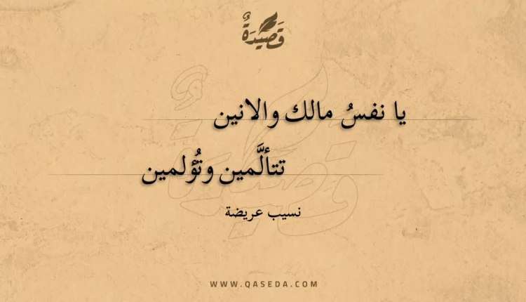 قصيدة يا نفس مالك والانين