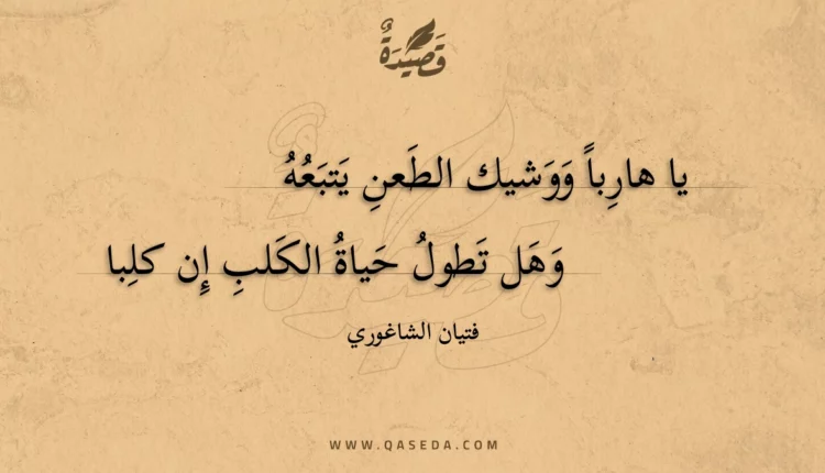 قصيدة يا هاربا ووشيك الطعن يتبعه