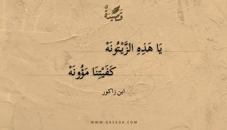 قصيدة يا هذه الزيتونه