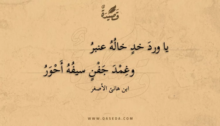 قصيدة يا ورد خد خاله عنبر