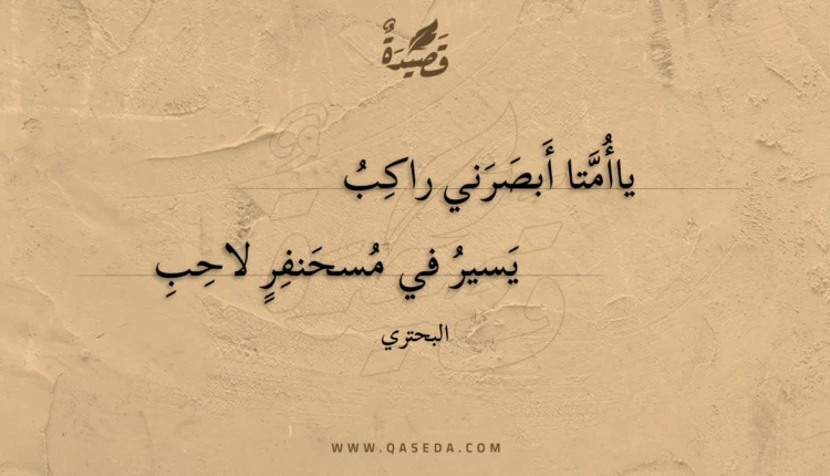 قصيدة ياأمتا أبصرني راكب