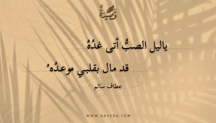 قصيدة ياليلُ الصّبُّ