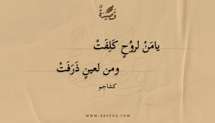قصيدة يامن لروح كلفت