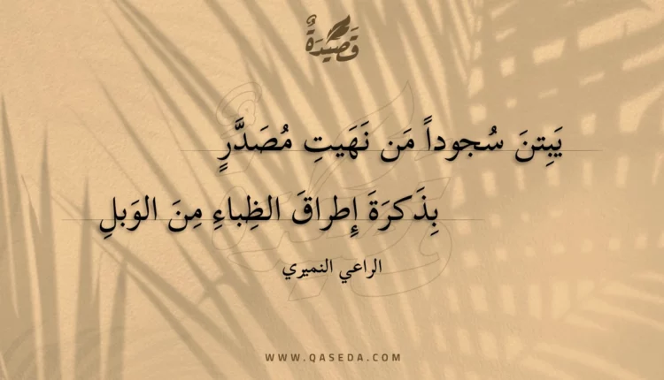 قصيدة يبتن سجودا من نهيت مصدر