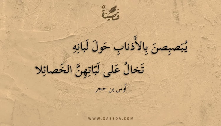 قصيدة يبصبصن بالأذناب حول لبانه