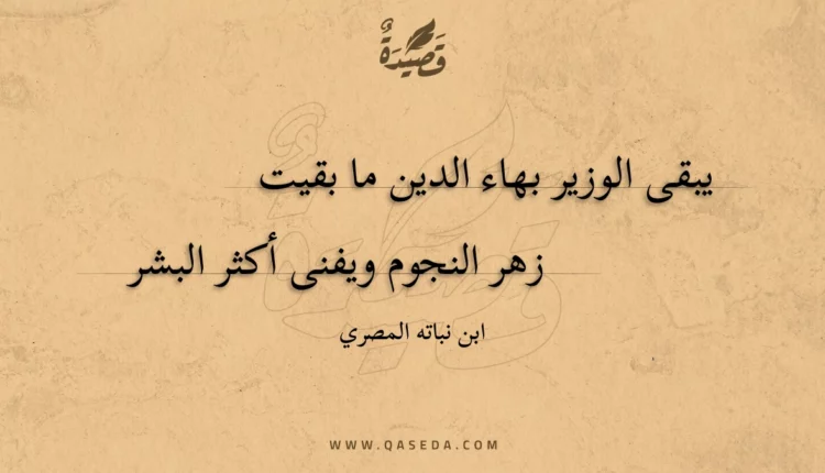 قصيدة يبقى الوزير بهاء الدين ما بقيت