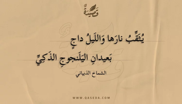 قصيدة يثقب نارها والليل داج