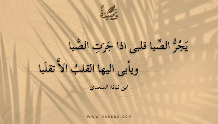 قصيدة يجر الصبا قلبى اذا جرت الصبا