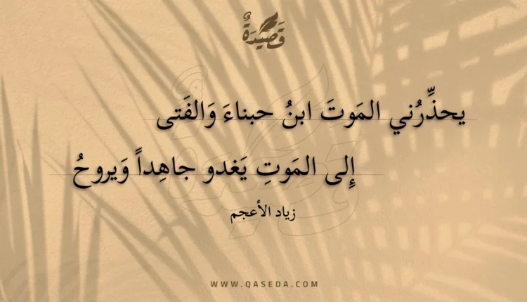 قصيدة يحذرني الموت ابن حبناء والفتى