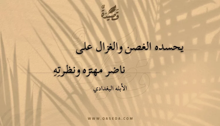 قصيدة يحسده الغصن والغزال على