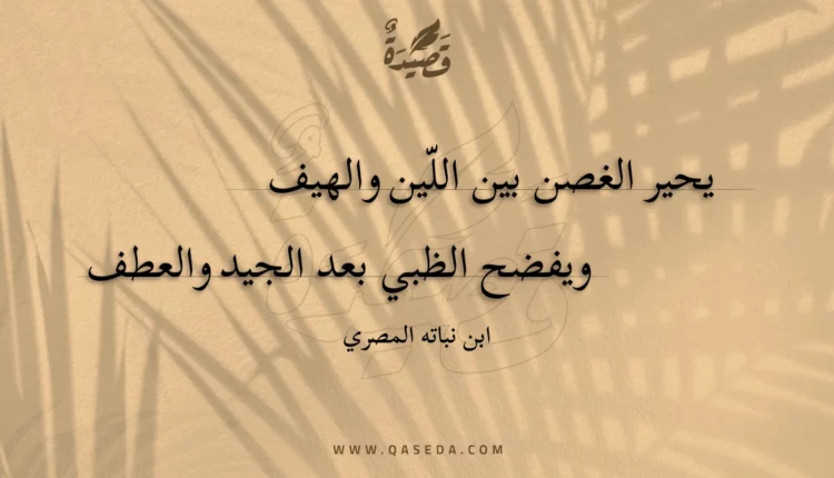 قصيدة يحير الغصن بين اللين والهيف