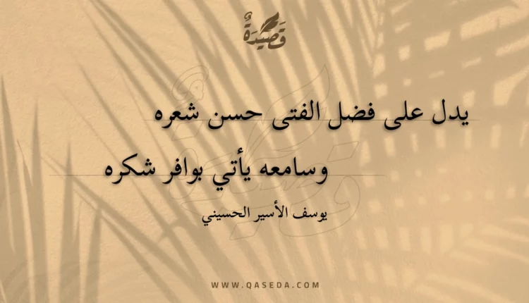 قصيدة يدل على فضل الفتى حسن شعره