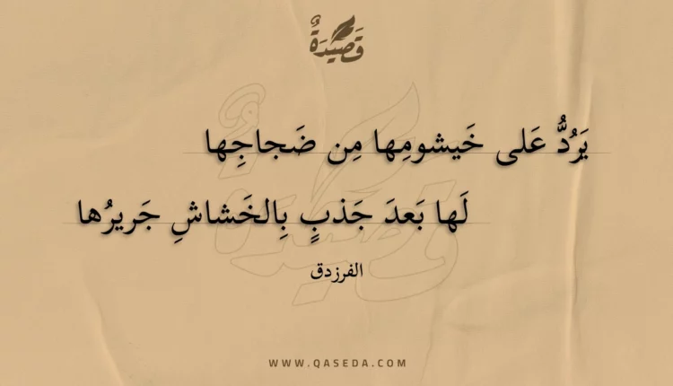 قصيدة يرد على خيشومها من ضجاجها