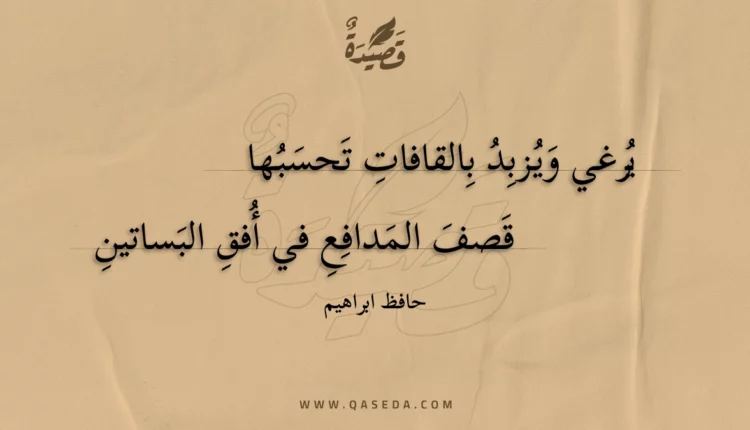 قصيدة يرغي ويزبد بالقافات تحسبها