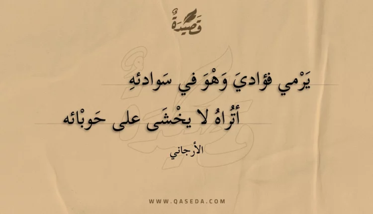 قصيدة يرمي فؤادي وهو في سوادئه