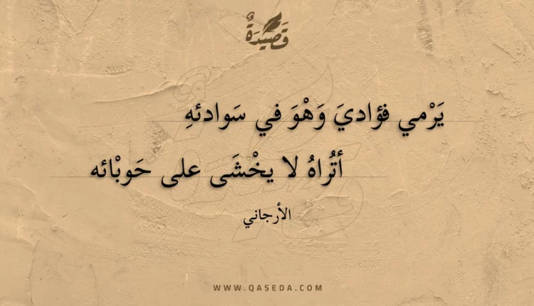 قصيدة يرمي فؤادي وهو في سودائه