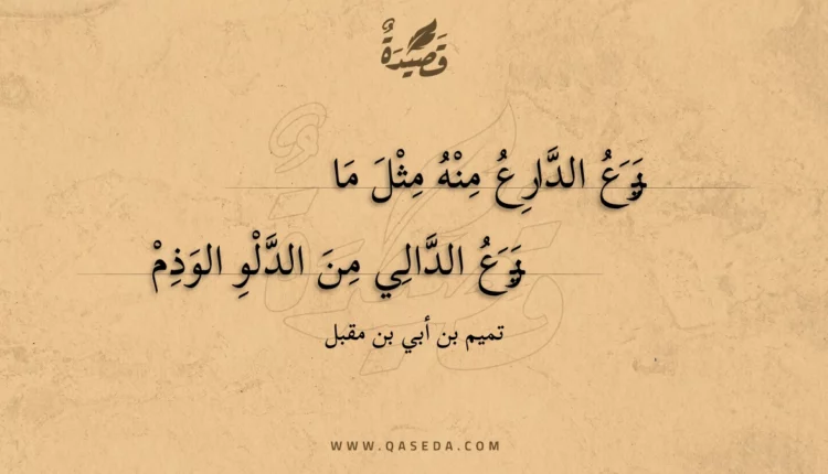 قصيدة يزع الدارع منه مثل ما