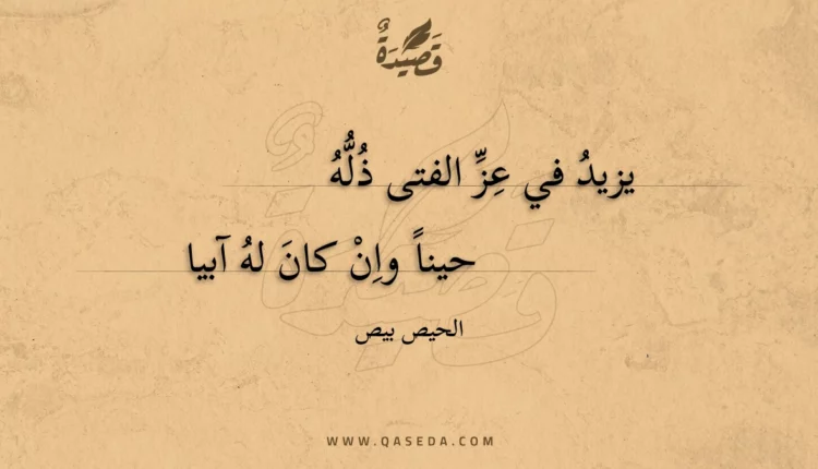 قصيدة يزيد في عز الفتى ذله