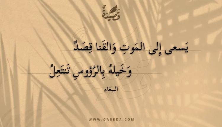 قصيدة يسعى إلى الموت والقنا قصد
