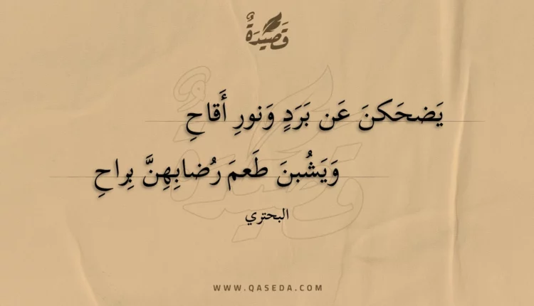 قصيدة يضحكن عن برد ونور أقاح