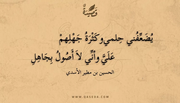 قصيدة يضعفني حلمي وكثرة جهلهم