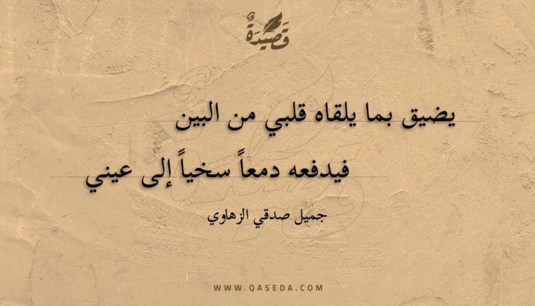 قصيدة يضيق بما يلقاه قلبي من البين