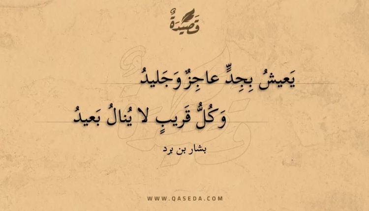 قصيدة يعيش بجد عاجز وجليد