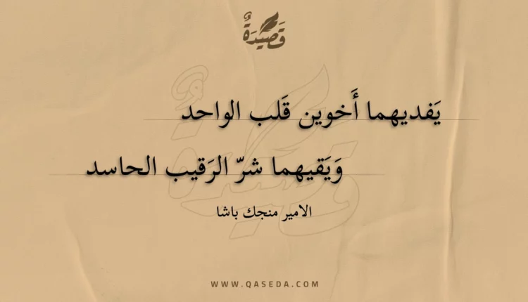 قصيدة يفديهما أخوين قلب الواحد