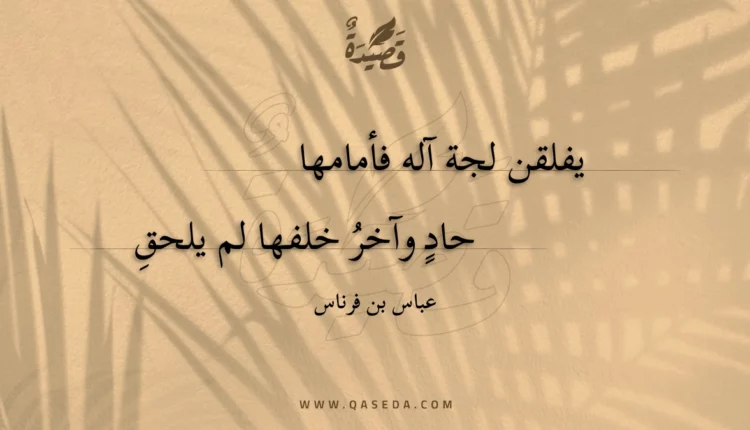 قصيدة يفلقن لجة آله فأمامها