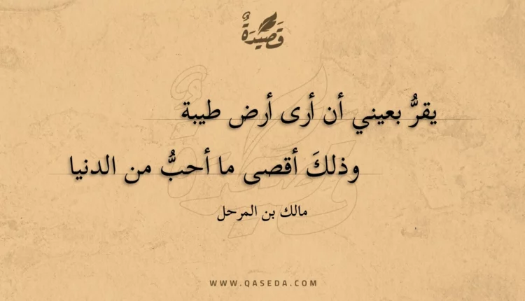 قصيدة يقر بعيني أن أرى أرض طيبة