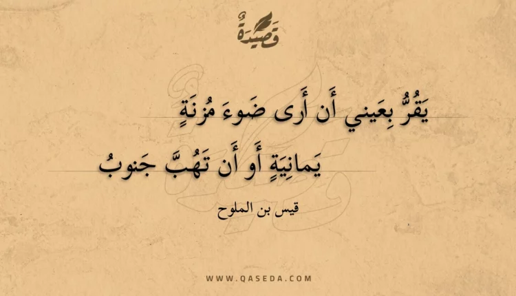 قصيدة يقر بعيني أن أرى ضوء مزنة