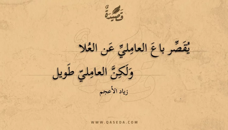 قصيدة يقصر باع العاملي عن العلا