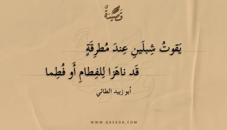 قصيدة يقوت شبلين عند مطرقة