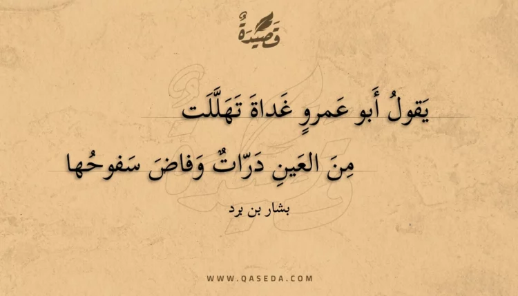 قصيدة يقول أبو عمرو غداة تهللت