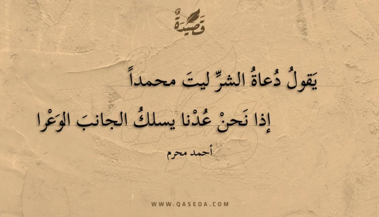 قصيدة يقول دعاة الشر ليت محمدا