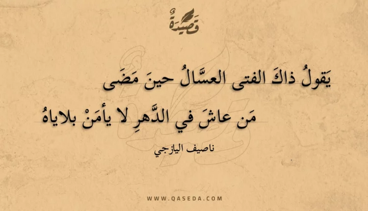 قصيدة يقول ذاك الفتى العسال حين مضى
