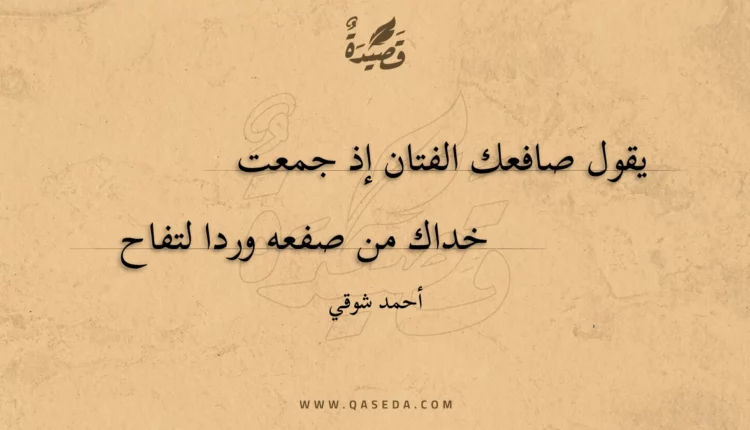 قصيدة يقول صافعك الفتان إذ جمعت