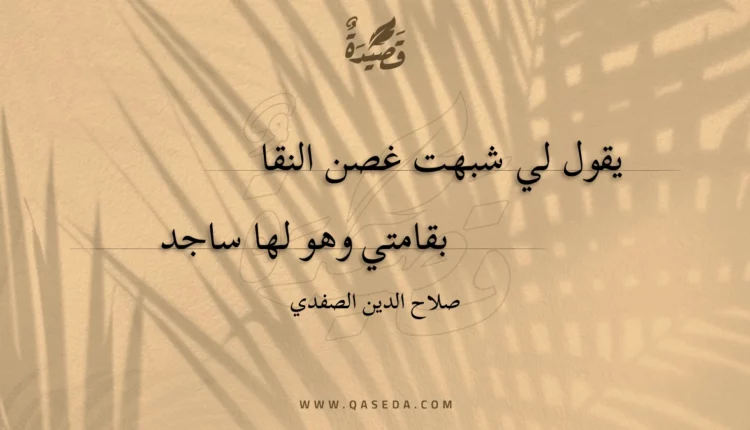 قصيدة يقول لي شبهت غصن النقا