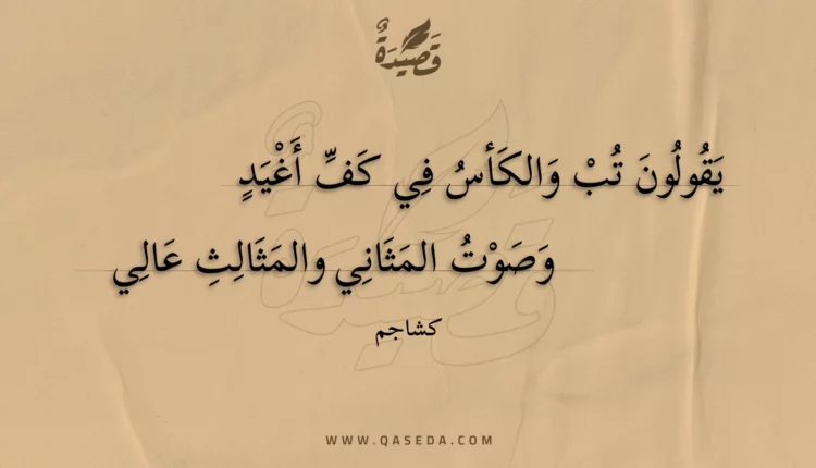 قصيدة يقولون تب والكأس في كف أغيد