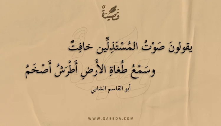 قصيدة يقولون صوت المستذلين خافت