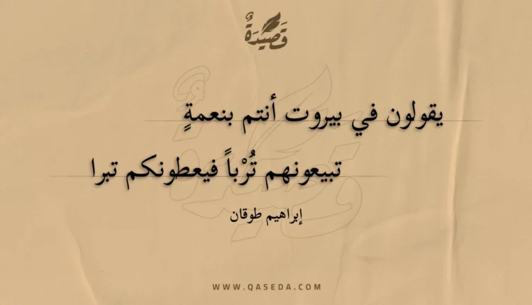 قصيدة يقولون في بيروت أنتم بنعمة