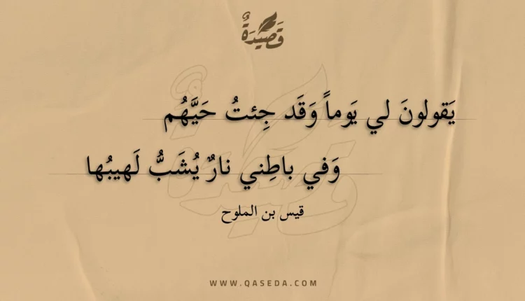 قصيدة يقولون لي يوما وقد جئت حيهم