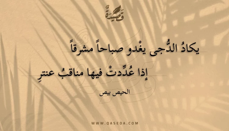قصيدة يكاد الدجى يغدو صباحا مشرقا