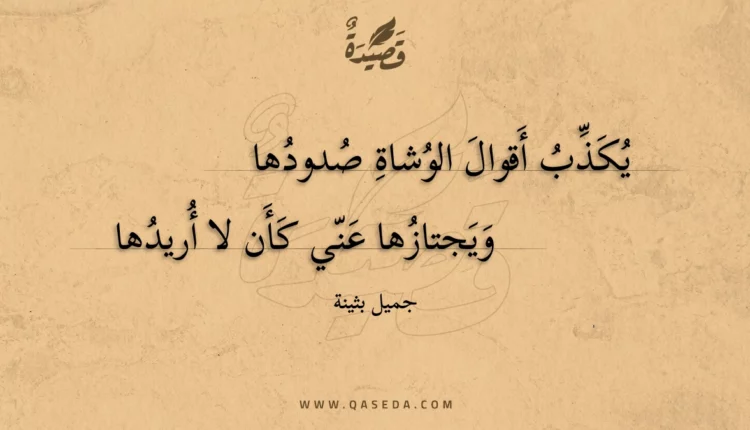 قصيدة يكذب أقوال الوشاة صدودها