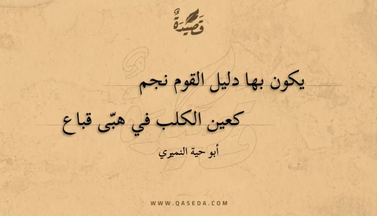 قصيدة يكون بها دليل القوم نجم