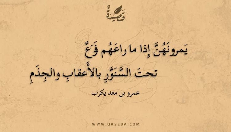 قصيدة يمرونهن إذا ما راعهم فزع