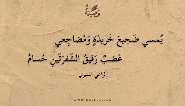 قصيدة يمسي ضجيع خريدة ومضاجعي