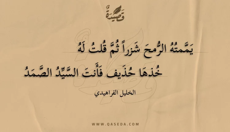 قصيدة يممته الرمح شزرا ثم قلت له
